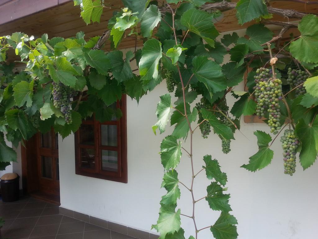 Lugas Vendeghaz Hotel Felsőtold Exterior foto